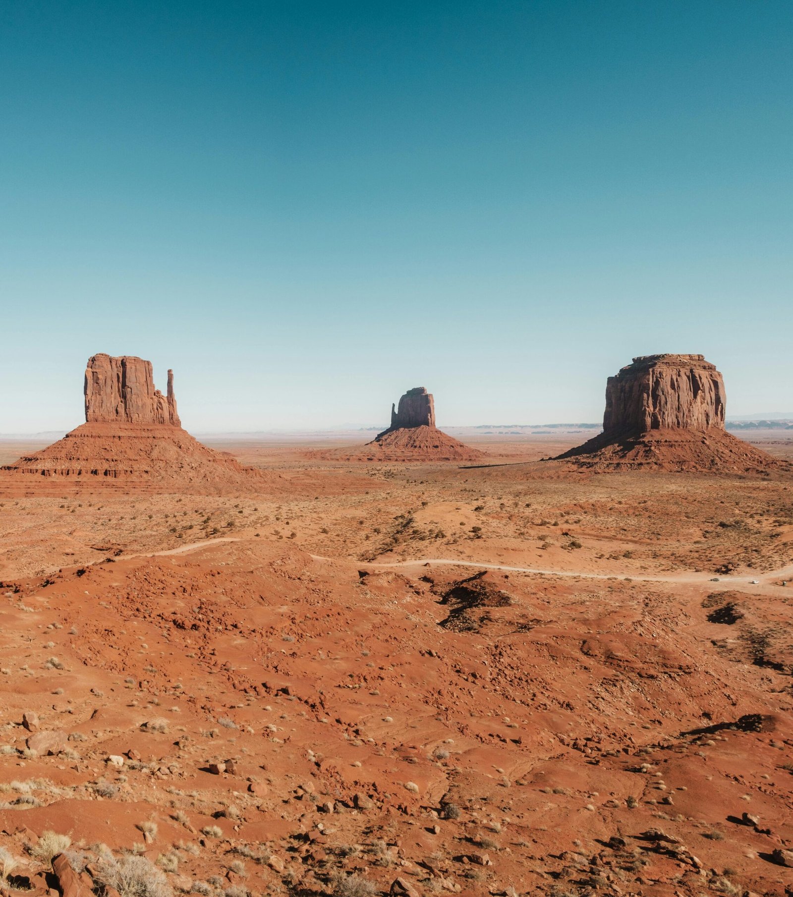 pexels airamdphoto 21858738